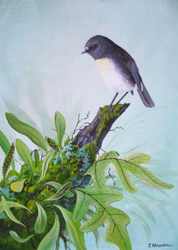 bush robin acrylic on canvas 30 x 40cms by Janet Marshall.jpg